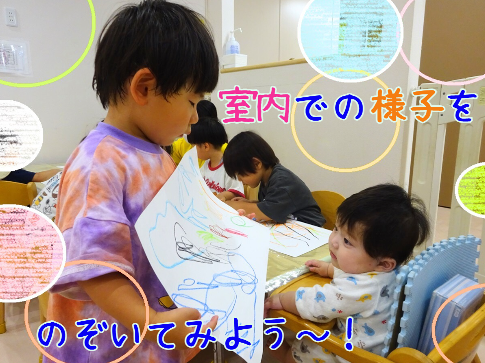 室内での様子をのぞいてみよう～！！